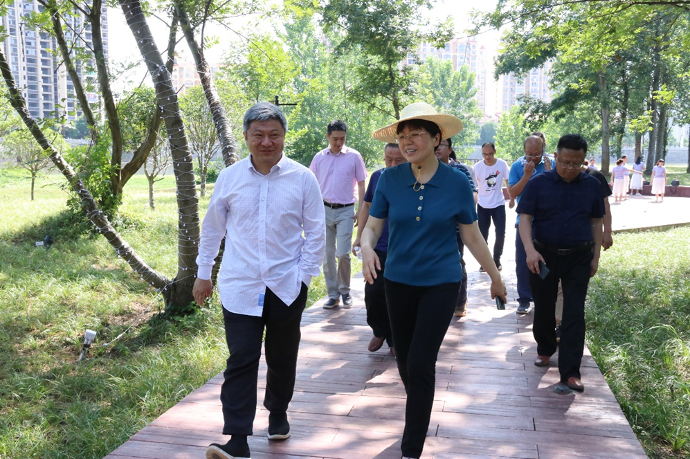 臨澧縣委副書記、縣長蔣穎群縣長考察我司道水風(fēng)光帶、柳林公園、金寶灘項目