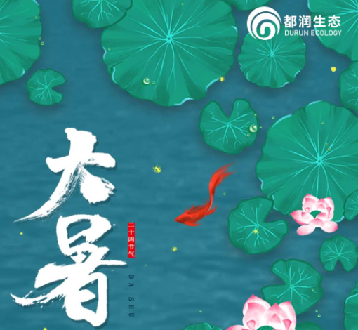 大暑節(jié)氣 溫馨提示 注意消暑