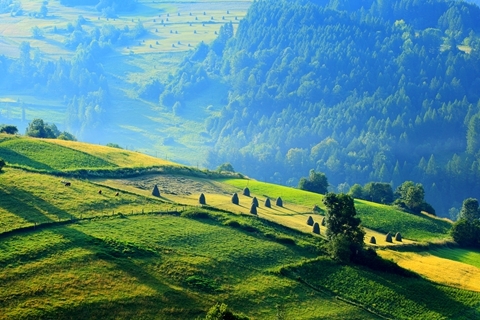 案例欣賞 | 近年來生態(tài)修復(fù)的十大案例，值得借鑒?。?></a></div>
            <div   id=