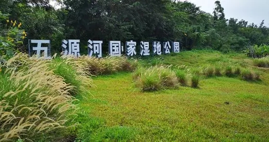 【案例賞析】海口五源河國(guó)家濕地公園